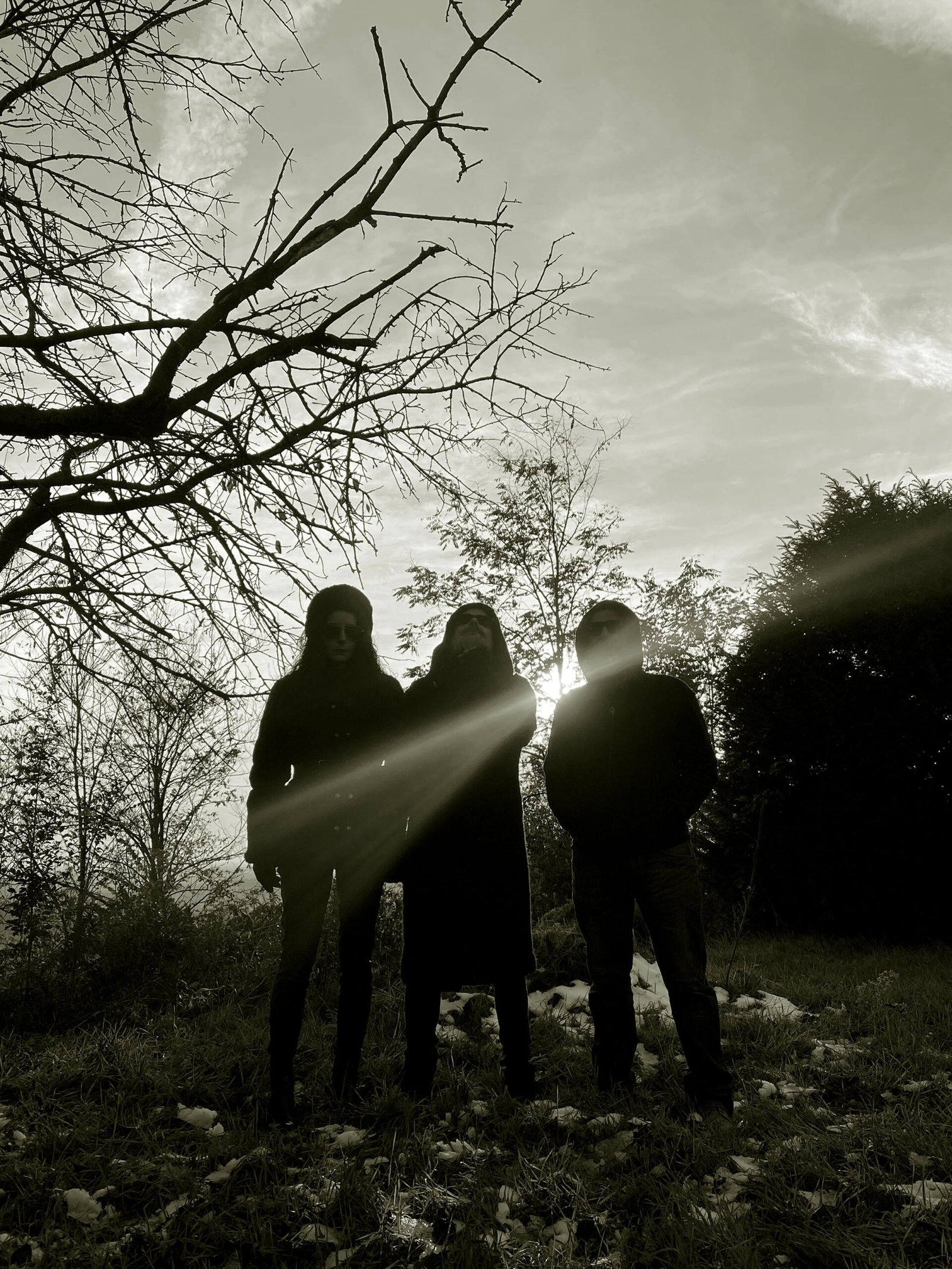 Intervista: DVM SPIRO